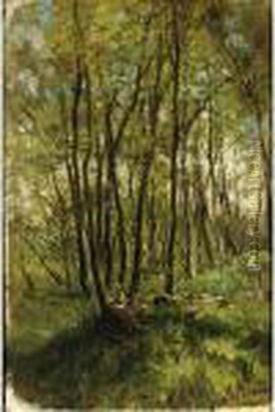 A Forest Landscape In Springtime Oil Painting by Anton Mauve