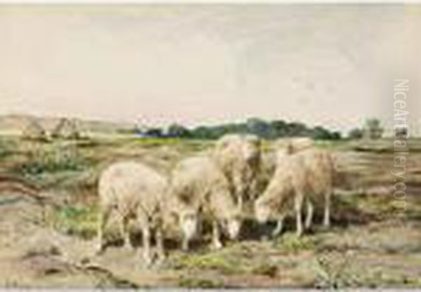 Grazing Sheep Oil Painting by Anton Mauve