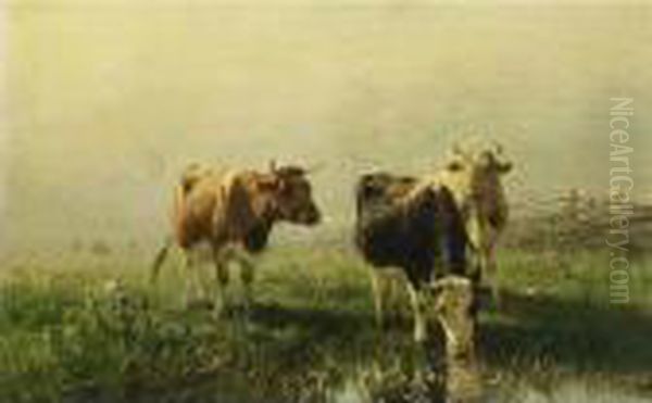 Cows In A Meadow Oil Painting by Anton Mauve