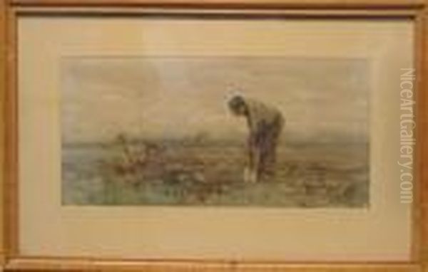 Digging In The Fields Oil Painting by Anton Mauve