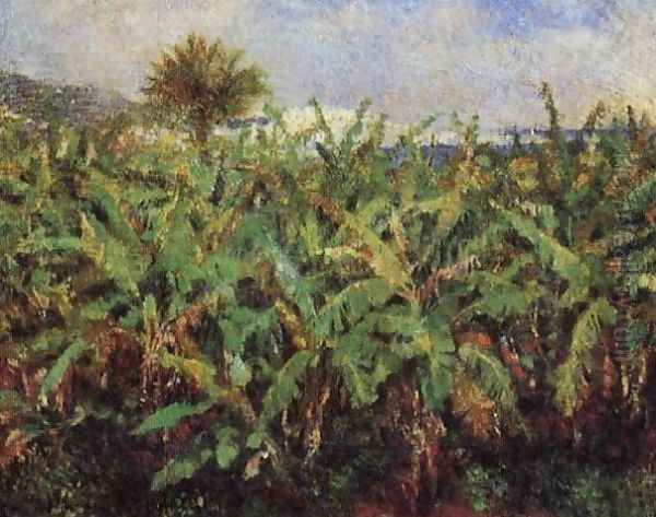 Field Of Banana Trees Oil Painting by Pierre Auguste Renoir