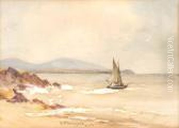 Sailing 
West Of Ireland Oil Painting by William Bingham McGuinness