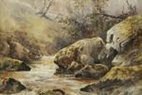 On The Dargle River, Co. Wicklow Oil Painting by William Bingham McGuinness