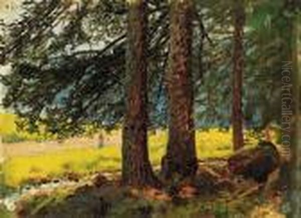 Forest With Sunlit Clearing Oil Painting by Laszlo Mednyanszky