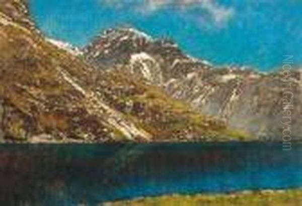 Mountain Lake With Snowy Peaks Oil Painting by Laszlo Mednyanszky