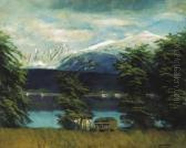 Lakelet With Snowy Peaks Oil Painting by Laszlo Mednyanszky