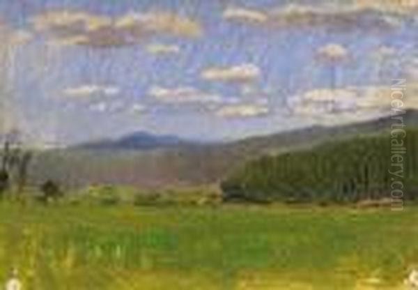 Spring Field Oil Painting by Laszlo Mednyanszky