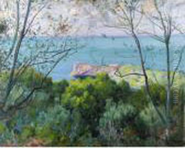 Foradada, Costa De Deia Oil Painting by Eliseu Meifren i Roig