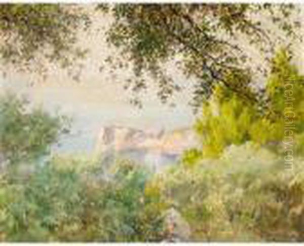 Vista De Mallorca Oil Painting by Eliseu Meifren i Roig