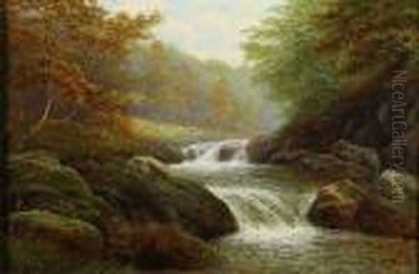 Riverderwent's Woodland Descent Oil Painting by William Mellor