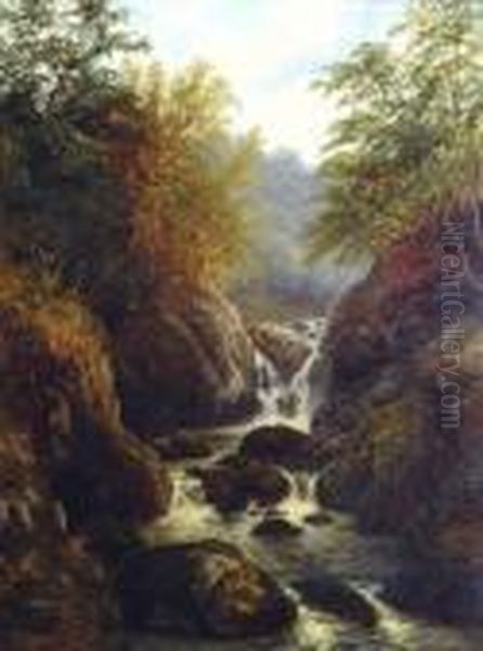 Waterfall In A Wooded Ravine Oil Painting by William Mellor