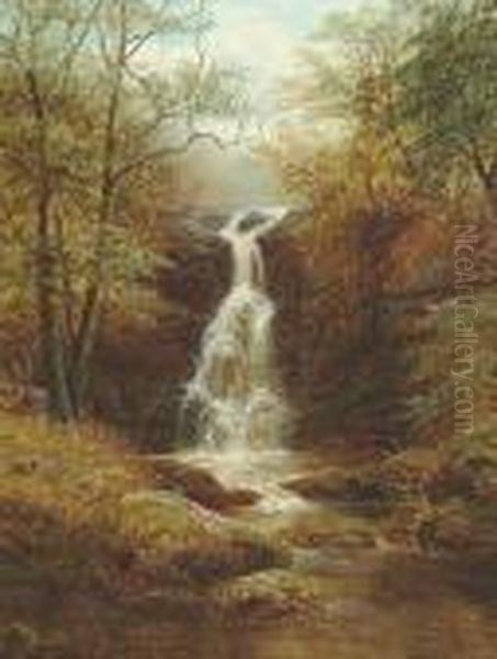 Fall, Bolton Park, Bolton Woods, Yorkshire Oil Painting by William Mellor