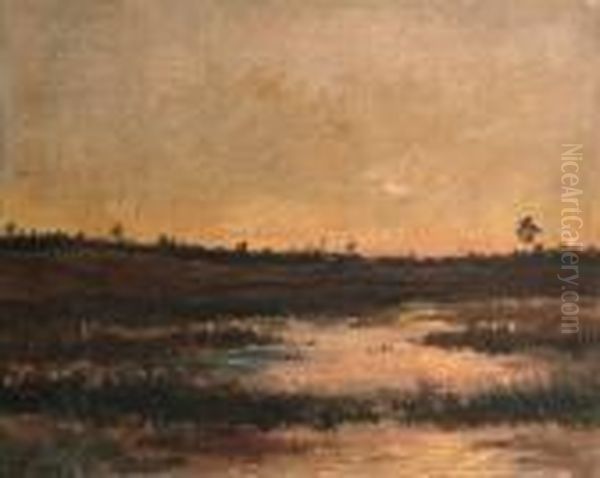 An Evening View Of A Boggy Landscape In Drente Oil Painting by Hendrik Willem Mesdag