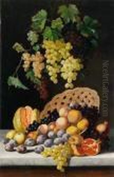 Stillleben Mit Fruchten Oil Painting by Michaelangelo Meucci