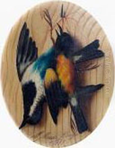 Bird Studies A Pair Oil Painting by Michaelangelo Meucci