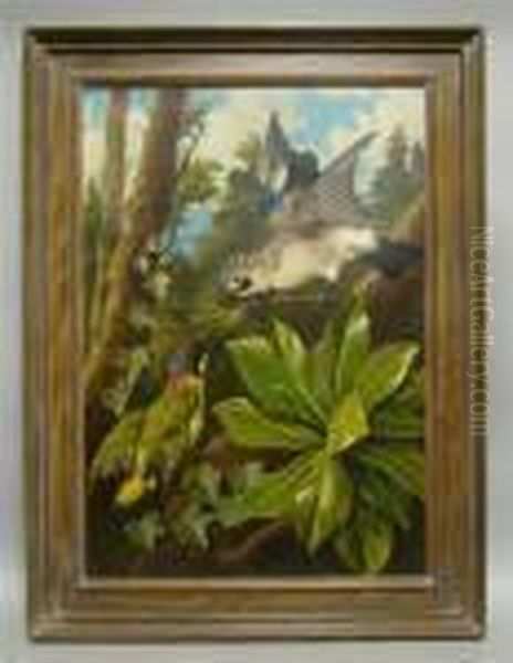 European Jay And A Green Woodpecker Oil Painting by Michaelangelo Meucci