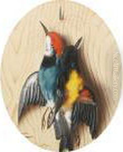 Still Lifes Of Birds, A Pair Oil Painting by Michaelangelo Meucci