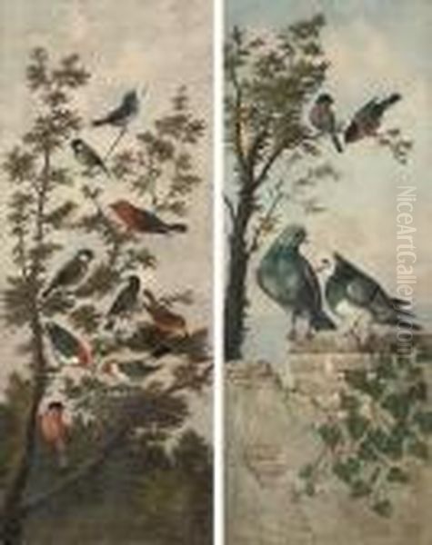 Songbirds In A Tree; And Pigeons On A Wall, With Birds In A Tree Oil Painting by Michaelangelo Meucci