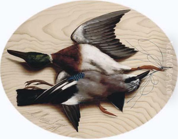 A Mallard And A Jay Oil Painting by Michaelangelo Meucci