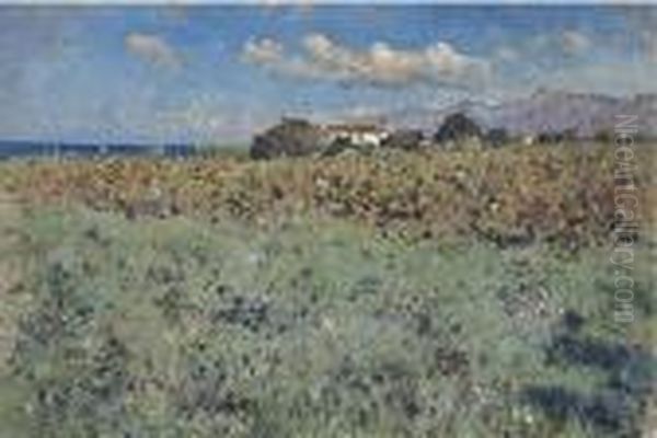 Paesaggio Oil Painting by Francesco Paolo Michetti