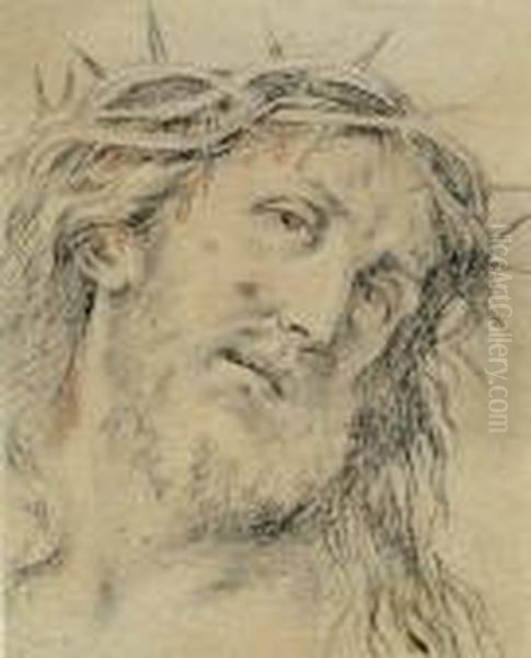 Le Visage Du Christ Oil Painting by Pierre Le Romain I Mignard