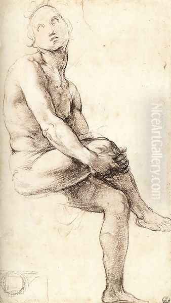 Study For Adam Oil Painting by Raphael