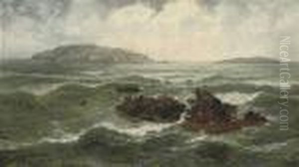 Gulls On A Rocky Outcrop Oil Painting by Thomas Rose Miles