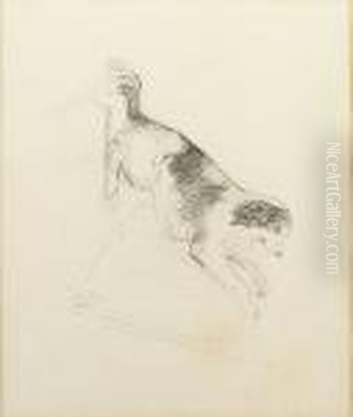 A Study Of A Dog Oil Painting by Sir John Everett Millais