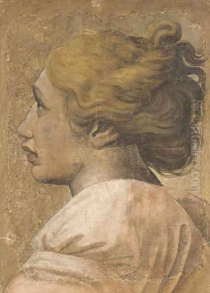 Head of a youth in profile to the left Cartoon for a tapestry Oil Painting by Raphael