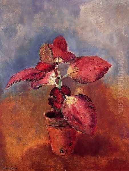 Begonia In A Pot Oil Painting by Odilon Redon