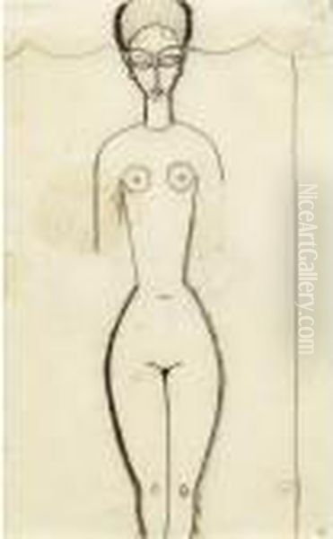 Femme Nue De Face Oil Painting by Amedeo Modigliani