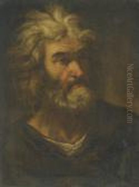 A Head Study Of A Bearded Man Oil Painting by Pier Francesco Mola