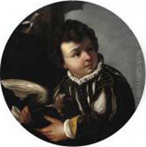 Ragazzo Con Colomba Oil Painting by Pier Francesco Mola