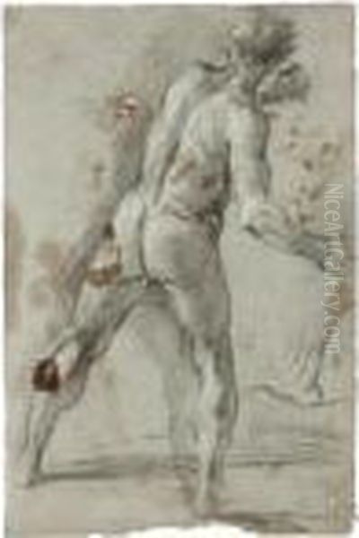 A Standing Male Figure, Seen From Behind, Clutching A Stone In His Right Hand Oil Painting by Pier Francesco Mola