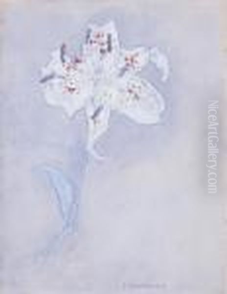 Lily Oil Painting by Piet Mondrian