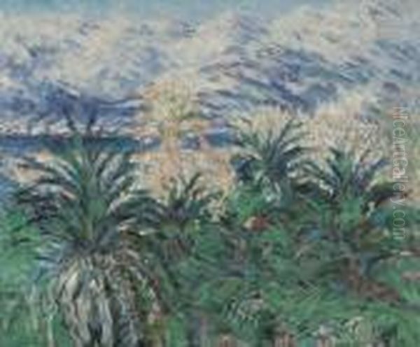 Palm Trees At Bordighera Oil Painting by Claude Oscar Monet