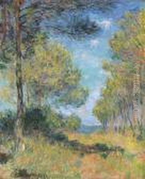 Allee De Sapins A Varengeville Oil Painting by Claude Oscar Monet