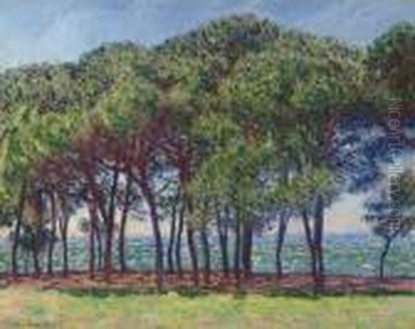 Pins, Cap D'antibes Oil Painting by Claude Oscar Monet