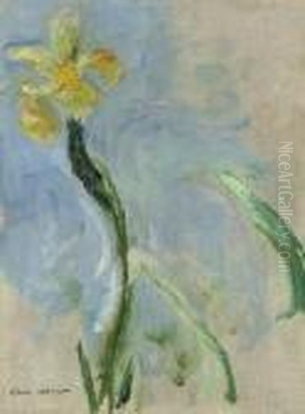 Iris Jaune Oil Painting by Claude Oscar Monet