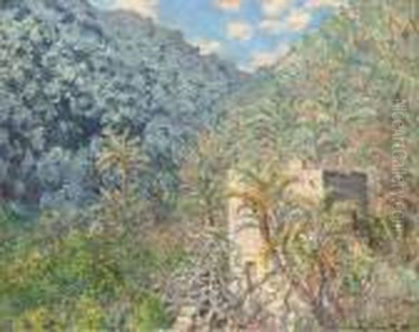 Oliviers Et Palmiers, Vallee De Sasso Oil Painting by Claude Oscar Monet