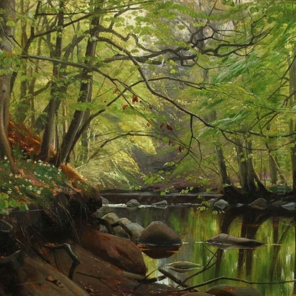 Forest Scenery At Springtime, Presumably At Moesgaard, Aarhus. Oil Painting by Peder Mork Monsted