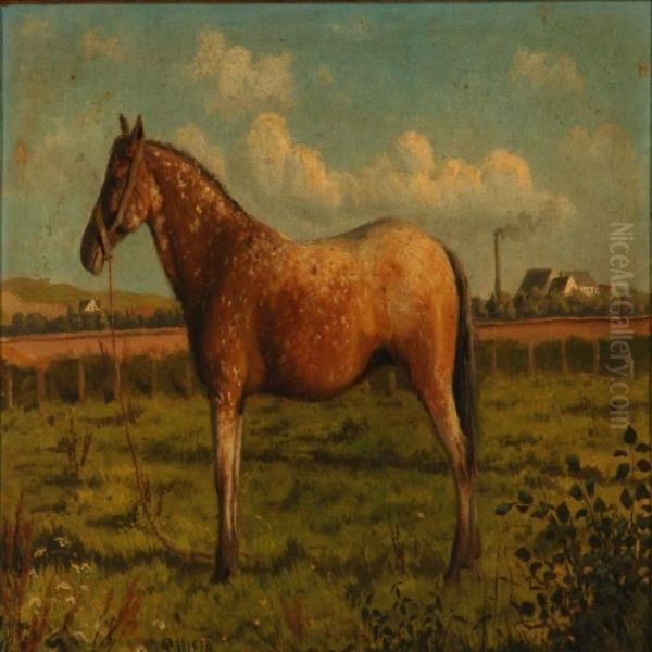 A Horse On A Field Oil Painting by Peder Mork Monsted