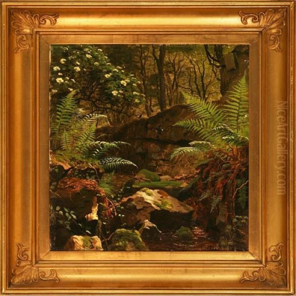 A Stream Through Avigorous Forest Floor Oil Painting by Peder Mork Monsted