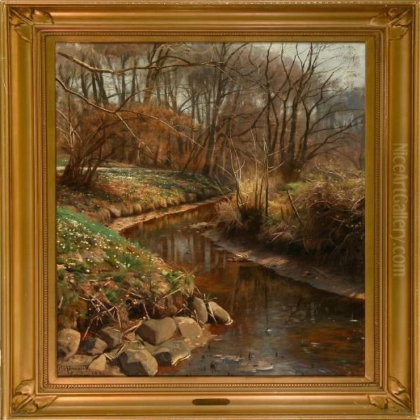 Stream In Enrum Forest, Denmark Oil Painting by Peder Mork Monsted