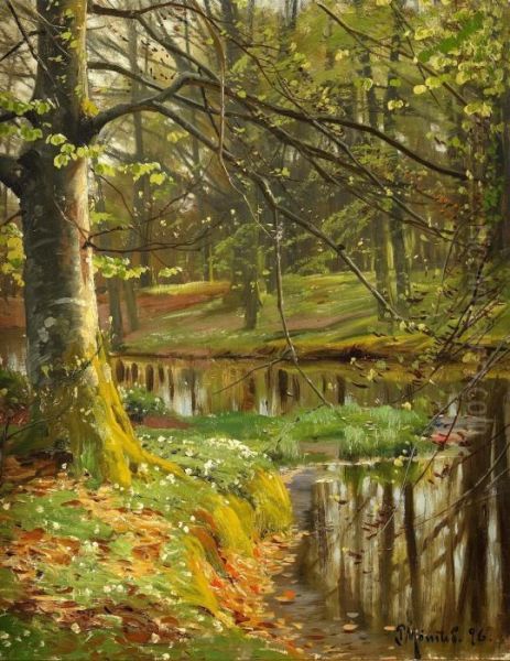 Var I Bokskogen Oil Painting by Peder Mork Monsted