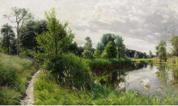 A Summer Landscape With Swans On A Lake Oil Painting by Peder Mork Monsted