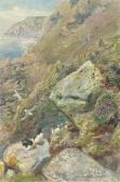 On Lundy Island, Devon Oil Painting by Henry Moore