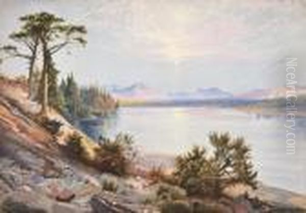 Head Of The Yellowstone River Oil Painting by Thomas Moran