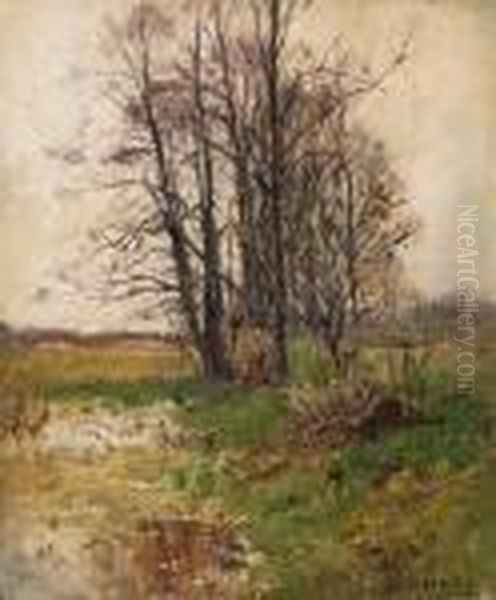 Feuchte Wiesen Und Kahle Weiden Oil Painting by Walter Moras