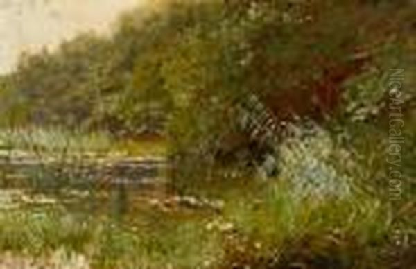 Waldteich Mit Seerosen Oil Painting by Walter Moras